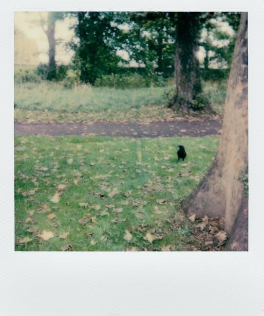 instant vortex plus air fryer manual pdf