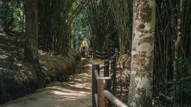 onan marquis gold 5500 service manual pdf free download